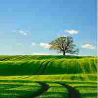 精﻿准​网​站‍搭﻿建‌软﻿件‍